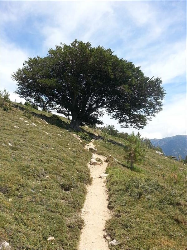 Étape 4